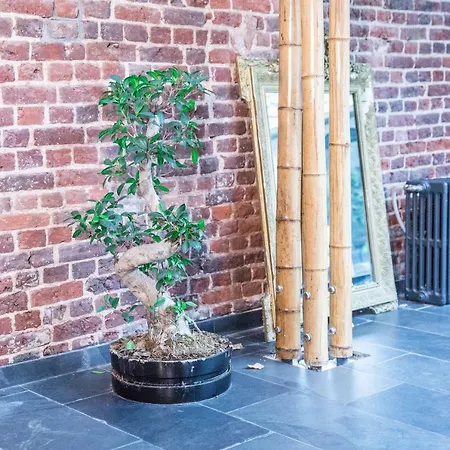 فندق مبيت وإفطار Nest